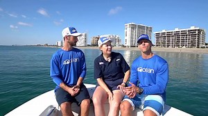 385K views · 119 reactions | Conservation is an ongoing battle that requires ongoing support. To maximize conservation efforts and continue protecting sea turtles, we’ve decided to continue selling our green Limited Edition Sea Turtle Bracelet for a limited time. | 4ocean | Facebook