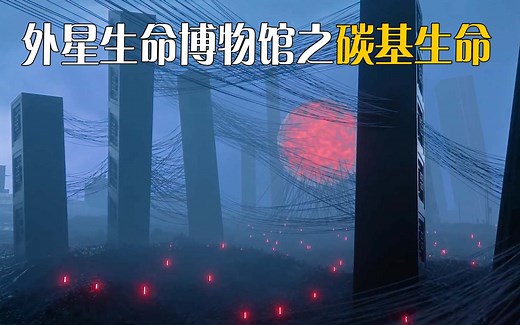 外星生命博物馆之硅基生物可能会达到生物进化的顶峰