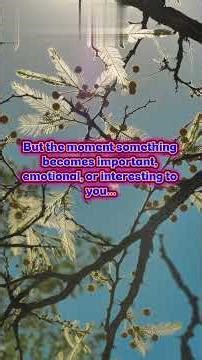 Why You Suddenly Start Seeing Something Everywhere (Psychology Explained)