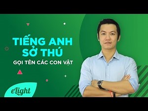 Tiếng Anh sở thú: Gọi tên các con vật [Từ vựng tiếng Anh theo chủ đề]