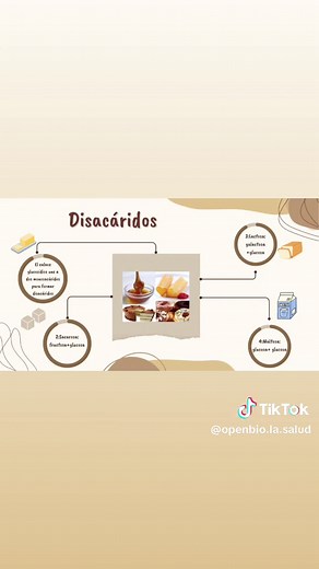 Carbohidratos: Qué Son y Su Importancia en Bioquímica