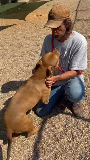 Bo Peeper has an endless supply of love and affection, and his new buddy Jim got a front-row seat to it. They’re getting to know each other, sharing belly rubs, tail wags, and a few good laughs along the way. (Jim’s already decided Bo should be a pirate for Halloween. How could you not with that handsome one-eyed face?) 🏴‍☠️❤️ But behind this playful moment is a story of survival and resilience. Bo Peeper came to us in heartbreaking shape. His eye bulging painfully from blunt force trauma, dang