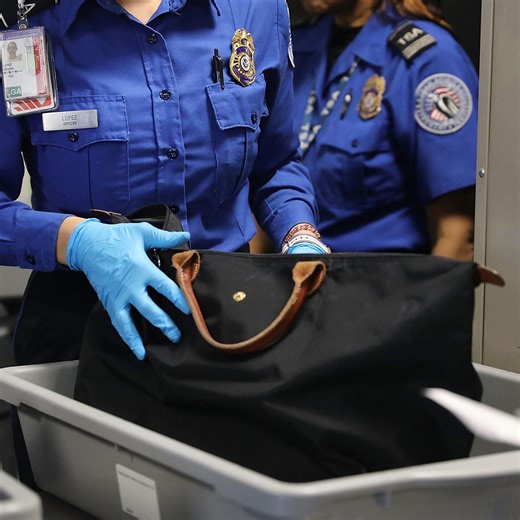 What services will be affected by the DHS government shutdown?