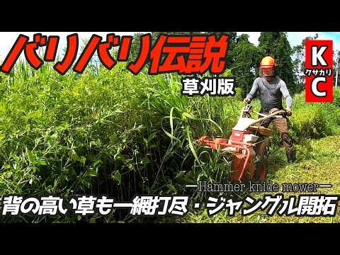 【バリバリ伝説】背丈ほどの草を一気に刈る「破壊力」ハンマーナイフモアで朽ちそうな古民家の草刈