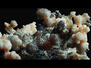 Fungus Infection | 3dsmax x tyflow | VDB | File on Patreon