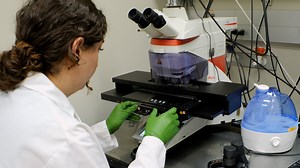 Laser Microdissection for Species-Agnostic Single-Tissue Applications