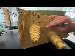 Bone Model - Structure Identification