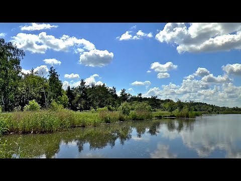 The Secret Life of Wetlands: Finding Solutions to Environmental Threats at UMD