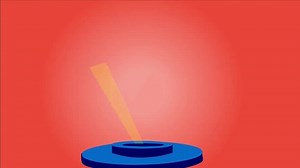 human body organs diagram education animation.