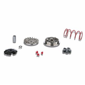 Variator MALOSSI MHR Multivar, 5113161