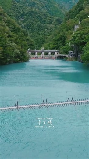 Emerald rivers and the dreamy Yume no Tsuribashi bridge await in Sumatakyo Gorge🌿✨ #japan #travel