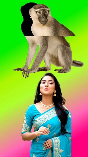 Spot the Monkey in This Fun Challenge