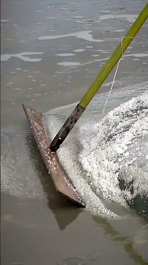 Así se hace la SAL para cocinar