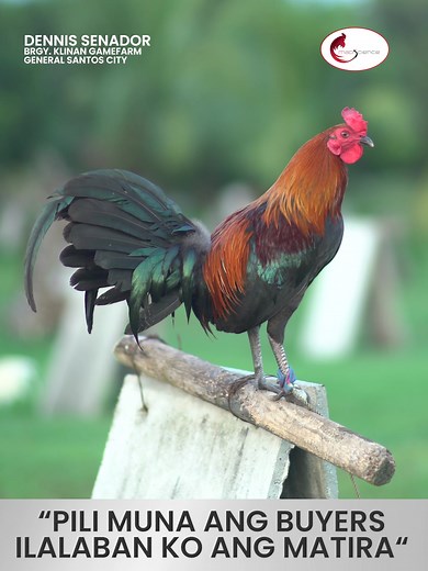 Brgy. Klinan Gamefarm: Salamat sa Suporta!