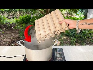 Millions of people don't know this secret😱!!! The secret use of plastic egg trays.