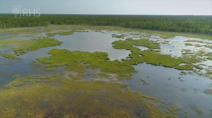 5K views · 120 reactions | Not only is going peat-free a crucial part...