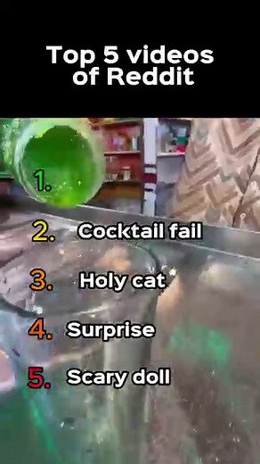 Top 5 videos of Reddit🔥