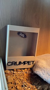 2.4K views · 72 reactions | How cute is this feeder box from Crafted...