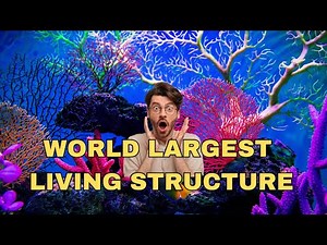 Australia's Great Barrier Reef: The World's Largest Living Structure