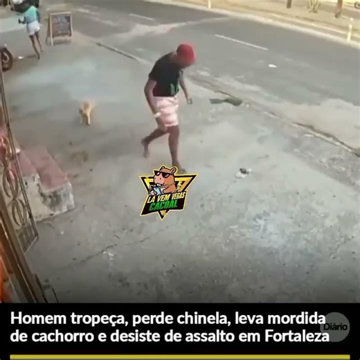 EM FORTALEZA CE REPÓRTER ADRIANO GRANEMANN PROGRAMA DOMINGO É SHOW