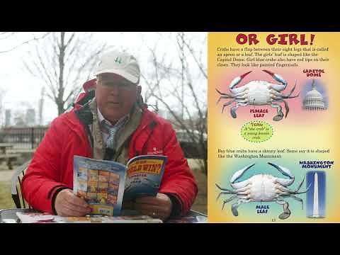 Who Would Win Books | Author Jerry Pallotta Reads "Lobster vs. Crab" !