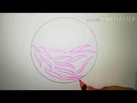 Histology easy diagrams ...dense irregular connective tissue