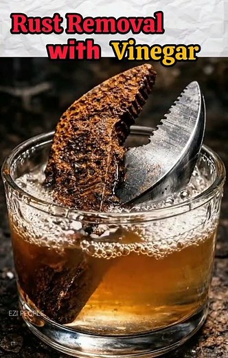 Remove Rust with Vinegar? 😳 It Actually Works!
