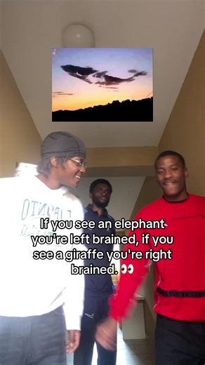 Interpreting Brain Functions: Elephant vs. Giraffe Vision