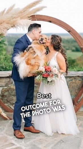 Their dog joined in on their wedding picture 👏 | Heart Touching