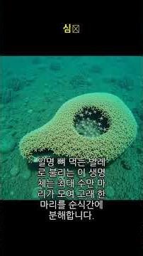 Shocking! How a deep-sea creature instantly devours a giant whale! #DeepSeaCreatures #WhaleMyster...