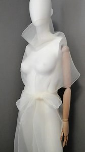 Wrinkled Organza Overlay Dress: High Collar Sheer Belted Tunic - Etsy