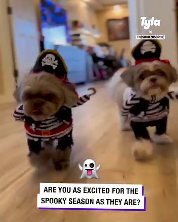 397K views · 12K reactions | Not the little Cookie Monsters 凉 | Tyla | Facebook