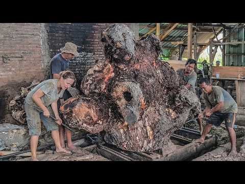 No Safety Shoes, Just Pure Skill Cutting Massive Tree Stump