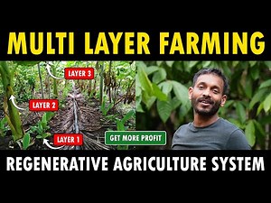 Organic Regenerative Agriculture and Sustainable Multi layer Farming System | Varanashi Farms