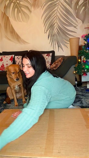 Vanessa 🦋 on Instagram: "She took a look at the instructions, realized it was too much for her and decided a nap would be more productive. 👉Tap the link https://s.click.aliexpress.com/e/_EvkD1HE or enter the search code [AYGJEG] on the AliExpress homepage to see all the amazing items I’ve handpicked for you. And don’t forget to enjoy extra savings with the exclusive discount codes below, just for fans like you! 🌟 Remember, these codes can be used on almost all items in selected countries on A