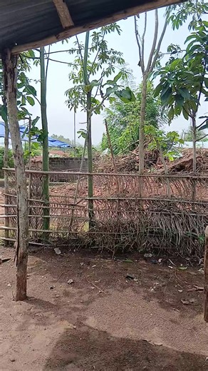 Vos réponses en commentaire #humour #comédie #videos #comé #Bénin @AYÊSSI comédie @ELAKOUSSAN Gbéblèwo @tatainno5 @Déo DGD🥰