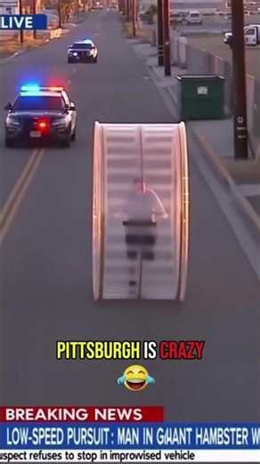 INSANE Pursuit: Man Outruns Police in GIANT Hamster Wheel! 😂🔥#shorts