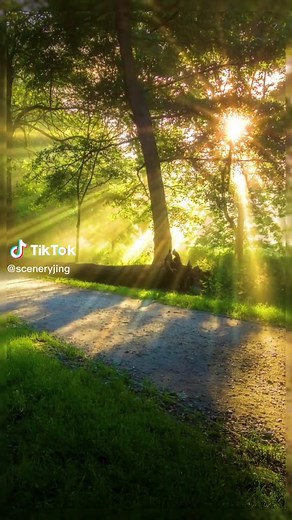Beautiful Morning Sunshine Scenery