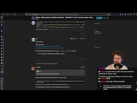 Senior Dev code reviews chat: Junior Edition! Infra, AWS, Gleam, Python, Qt6, Nix