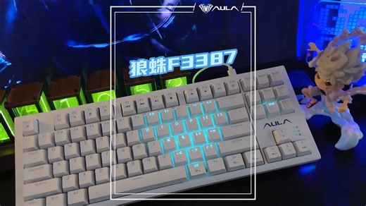 教你怎么定义一百块钱不到的87键键盘灯光，狼蛛F3387，类X87的模具