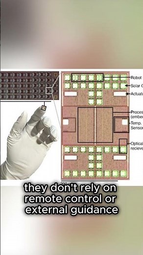 Scientists create the world’s smallest autonomous robots