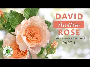 Make A David Austin Rose For Cakes With Chef Nicholas Lodge | Part 1