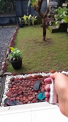 Exploring Garden Tools: Handheld Device in Action