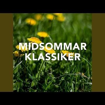 När solen färgar juninatten