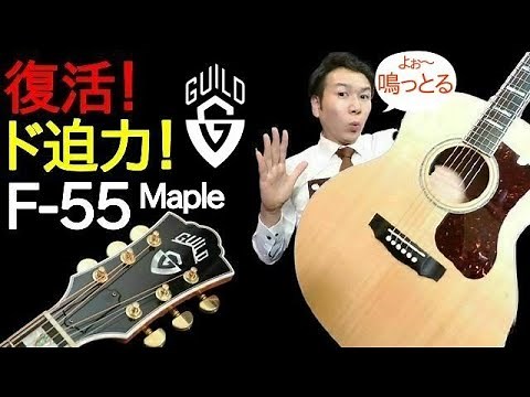 GUILD F-55 Maple [Made In USA] (NAT) （名古屋アコギ専門店 オットリーヤギター完全予約制）