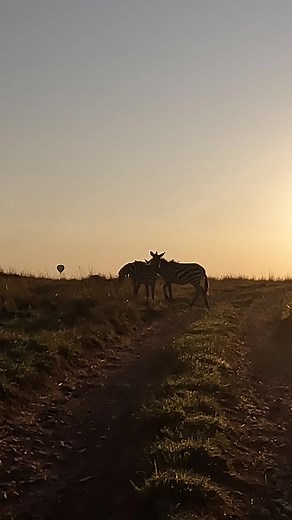 Closing off the year and riding into the sunset! 🌅 Chris Locke captured this serene video in Sayari, Africa on his GoPro HERO 10 Black. Upload your content on Awards for a chance to be featured on our page! 🔗 Link in bio #Awards #GoPro #GoProHero10 #Africa #Wildlife