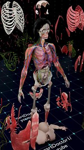 Unveiling the Human Design | The Female Body Explained 🧠🫁🩺 . . . Explore the hidden masterpiece of the female human body — from muscles and vessels to the organs that sustain life. A full 3D journey showing the anatomy of creation, revealing how every structure connects to form the miracle of life. . . #anatomy #anatomía #anatomi #anatomia #pregnancy #baby #heart #pregnancy #pregnant #baby #medicina #doctor #माहवारी #月経 #임신 #妊娠 #gravidez #fetal #love #shorts #viral #Childbirth #uterus #Reprod