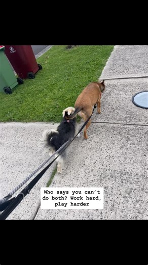 Work less, live more When you find a business that flows with your lifestyle, the freedom hits different. Making income while making memories — that’s the real flex. | Chenice Jacinta