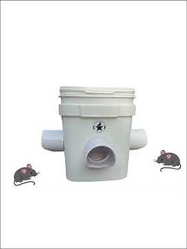 🐭 5 Wild Mice vs. My Mouse-Proof Chicken Feeder!