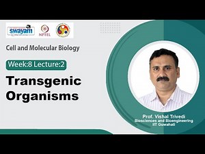 Lec 29: Transgenic Organisms